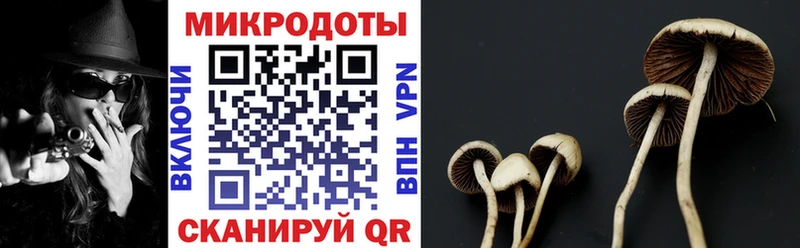 Купить закладки  Белово  Галлюциногенные грибы Cubensis 
